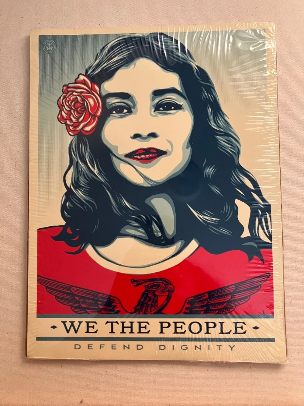 We the People - Defend Dignity 9x12 Print